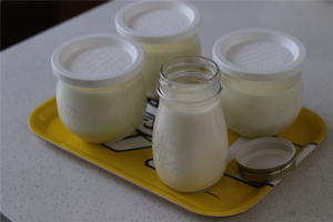 自制酸奶简述的做法 步骤8