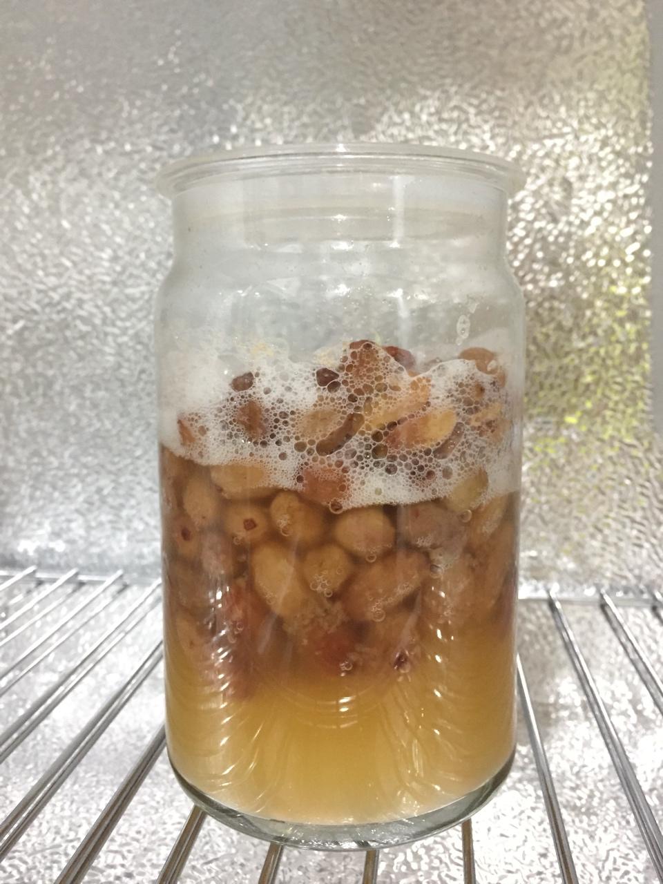 天然酵母宝宝养成记