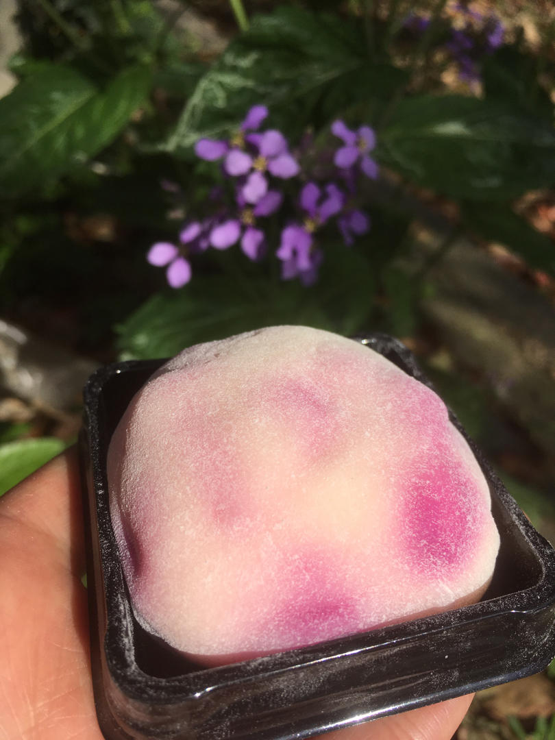 不会硬皮的雪媚娘