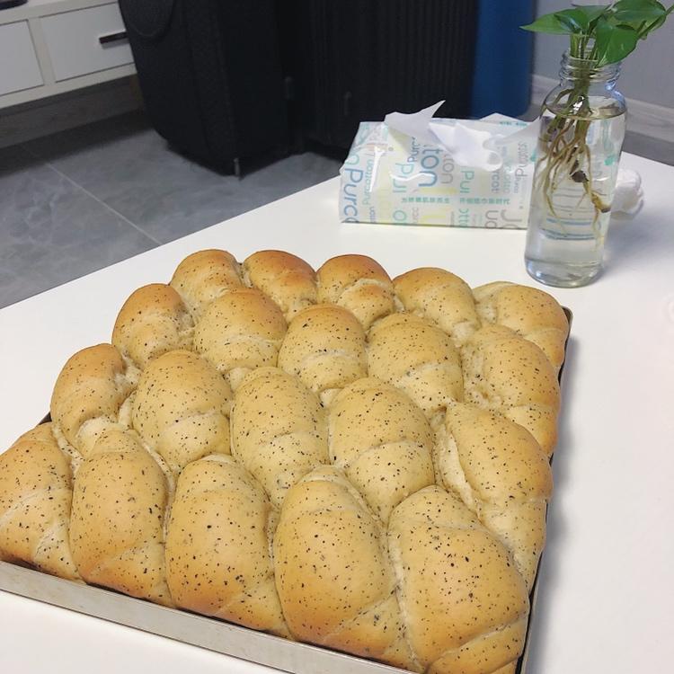 香草牛奶面包（波兰种）