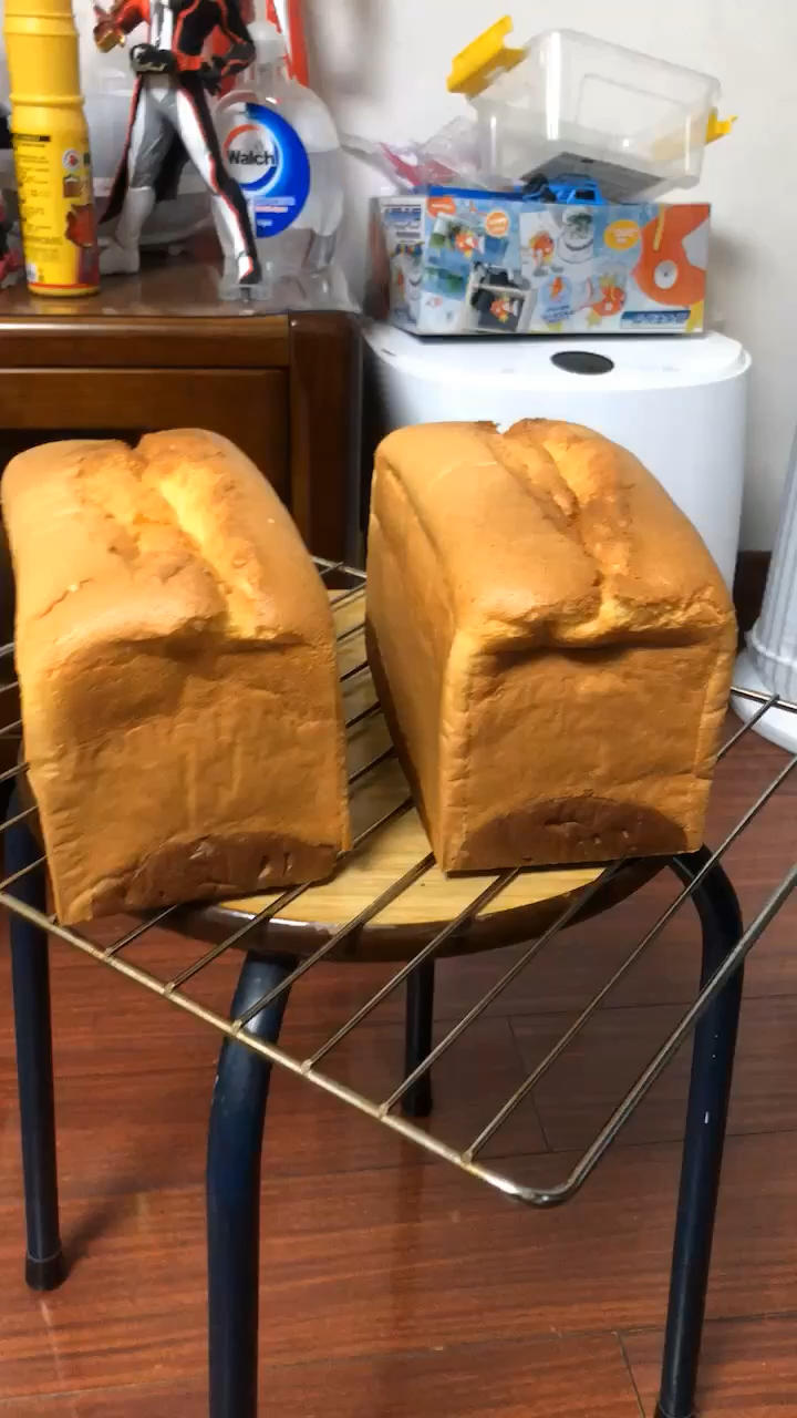 金砖🧱蛋糕吐司🍞 — 来自自创