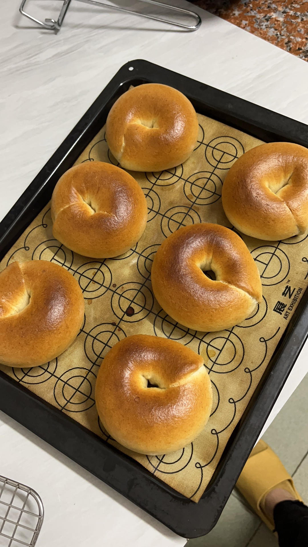 全麦贝果🥯