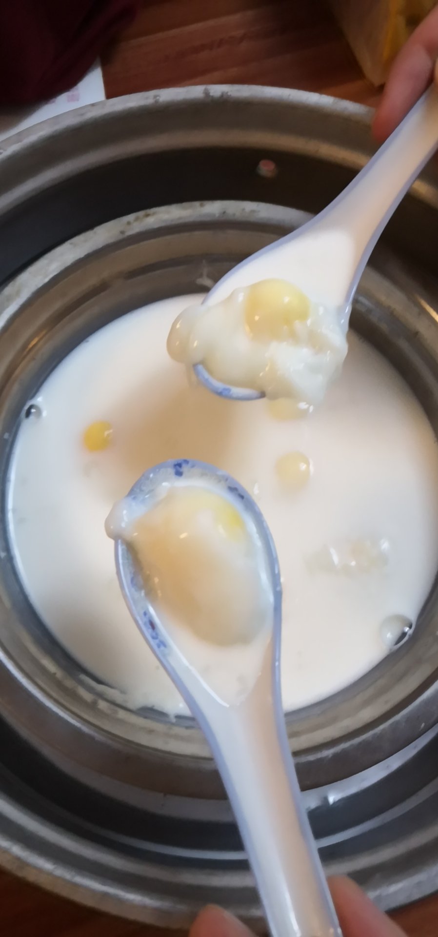 牛奶炖鸽蛋