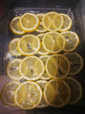 冰冻柠檬片保存的做法 步骤4