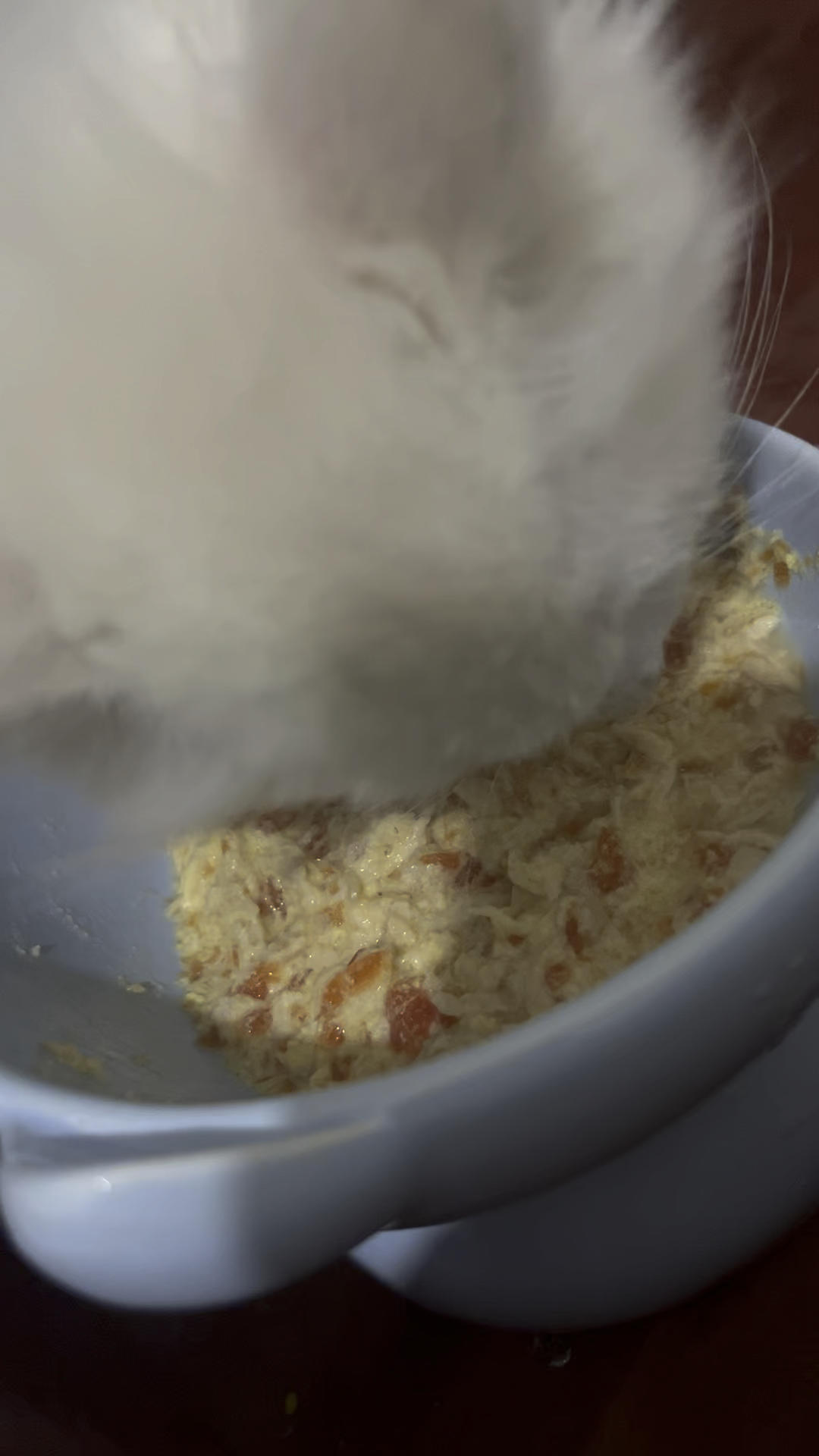 自制超简单猫粮