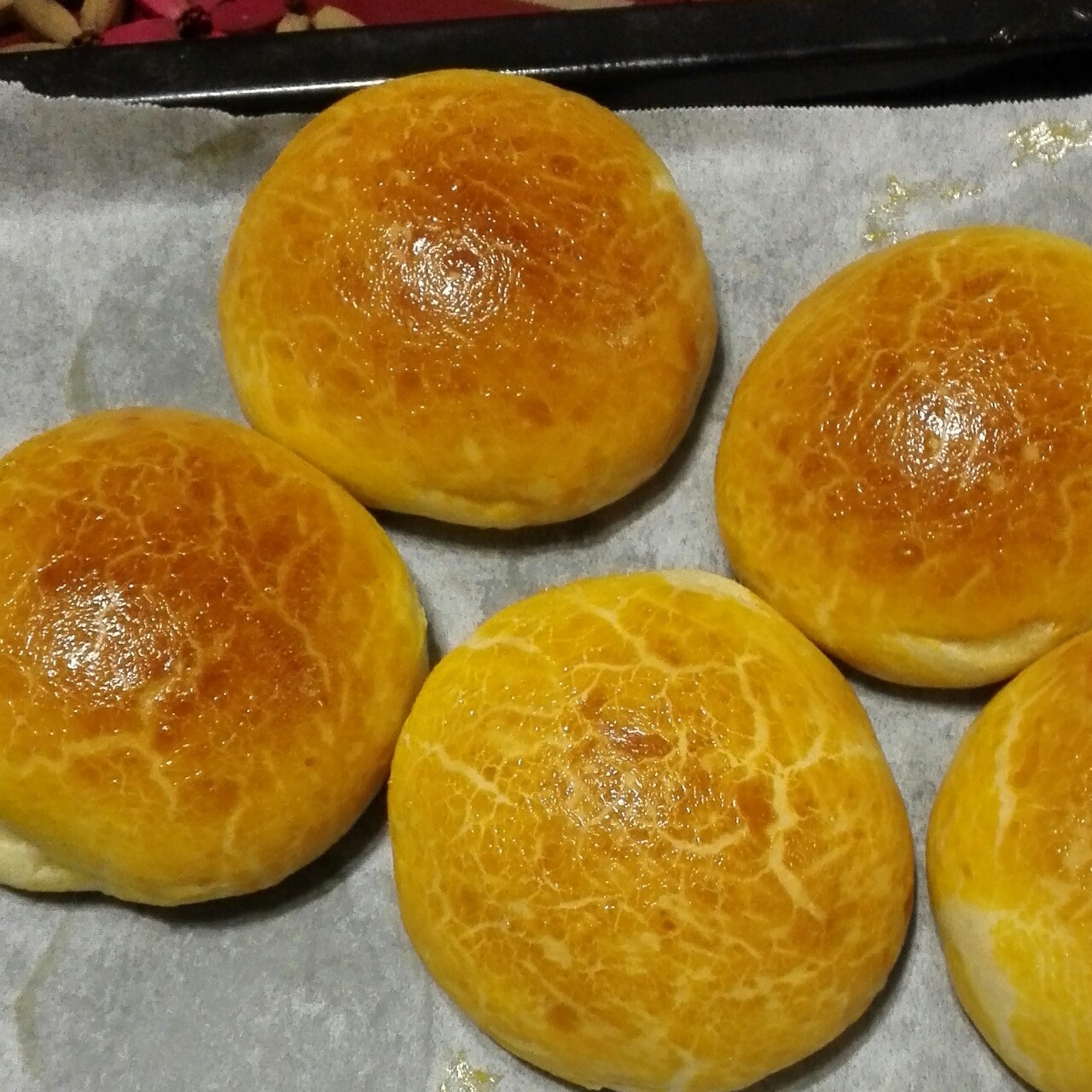汉堡胚（中种法）