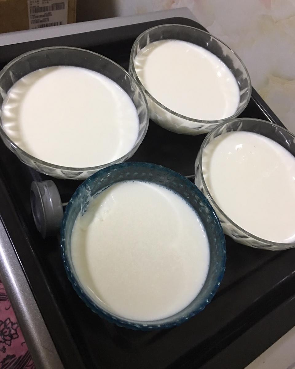 烤箱自制酸奶  Homemade Greek Yoghurt