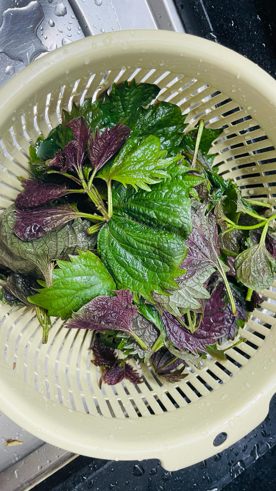 第一次diy紫苏饮的做法