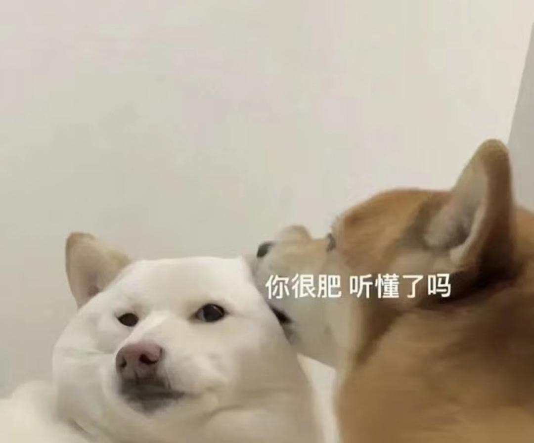 窝看泥是真饿了