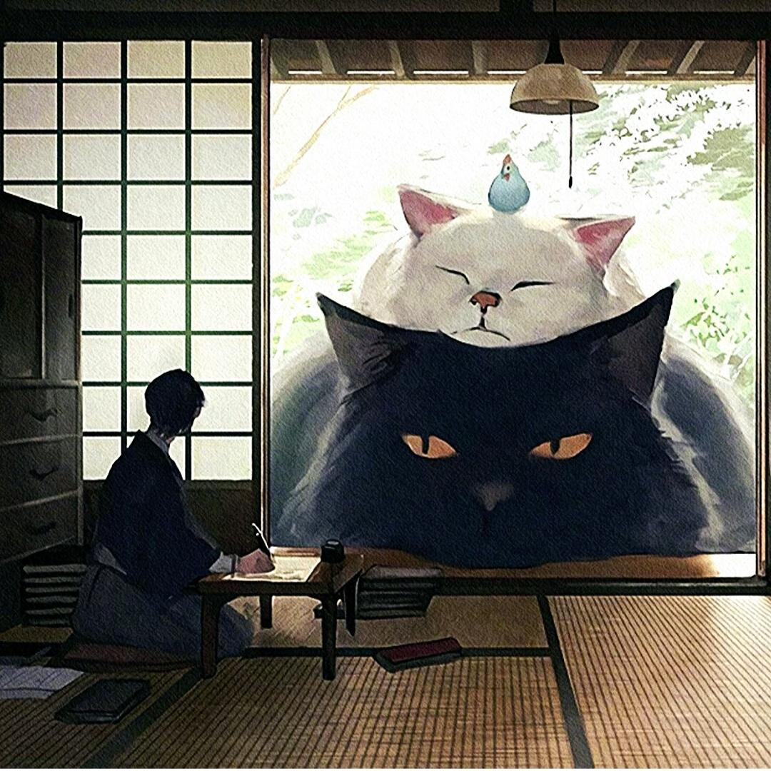 小生不菜