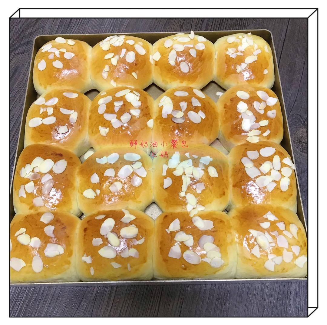 鲜奶油小餐包（一次发酵）