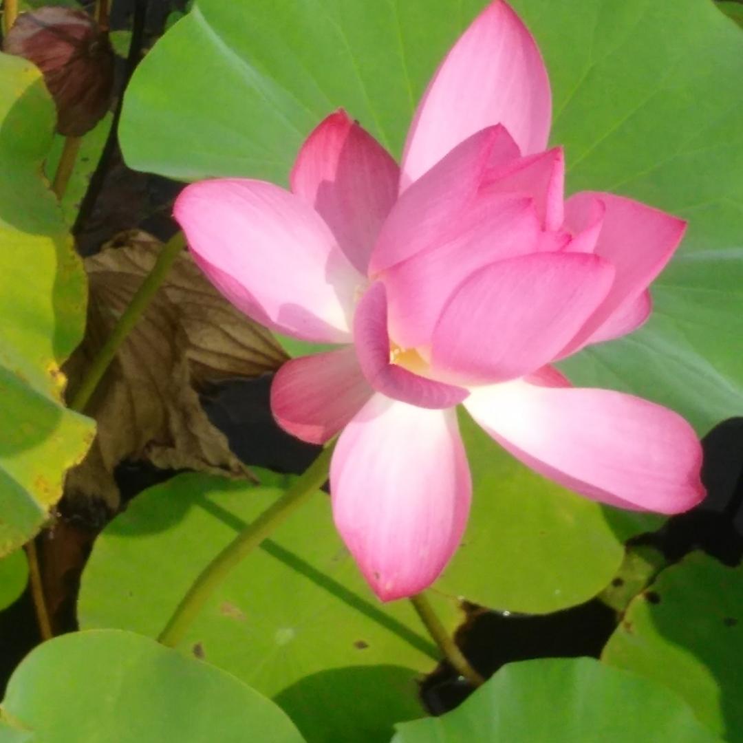 80后宝宝妈的厨房