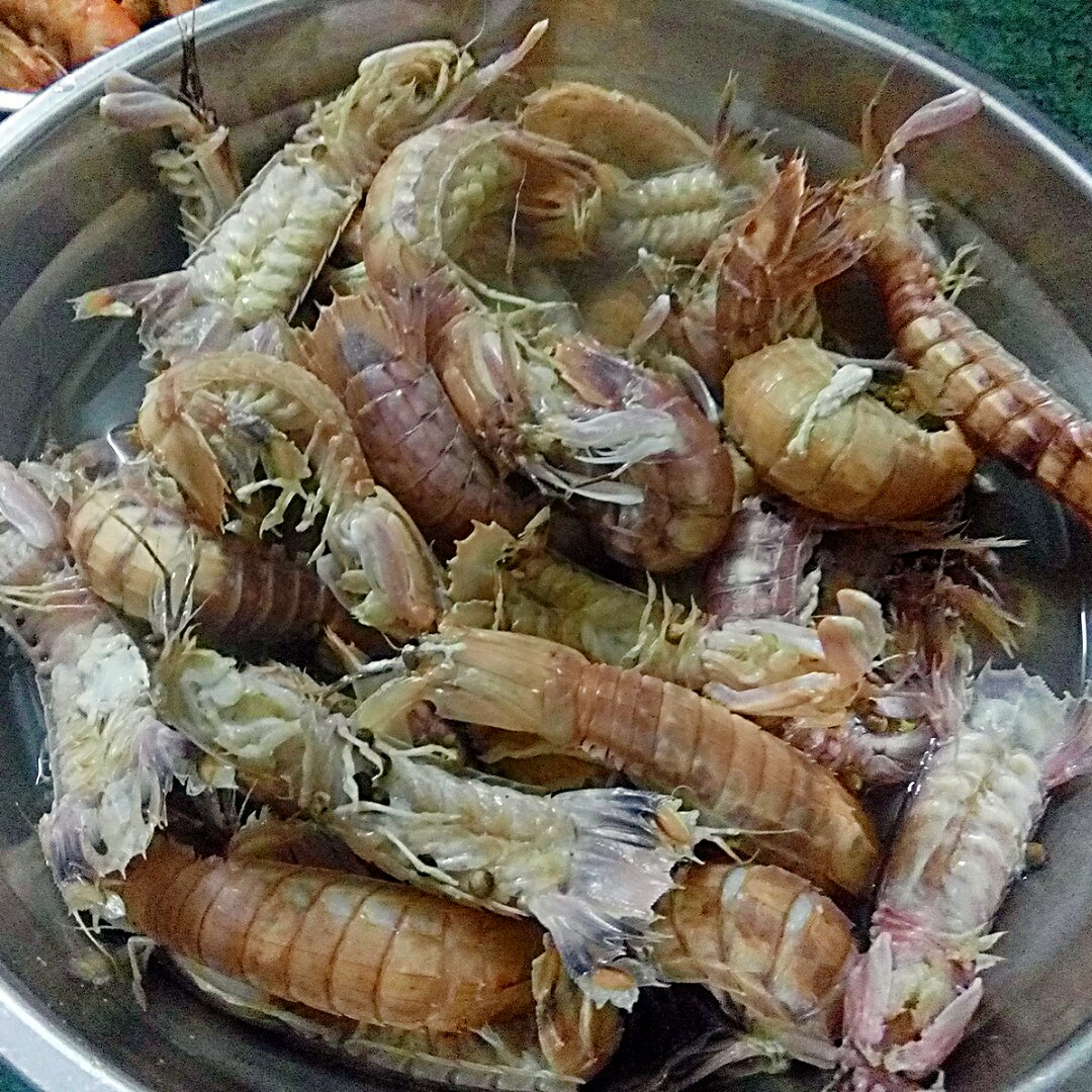盐水濑尿虾