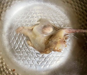 珍珠菇姬松茸海参鸽子汤的做法 步骤4