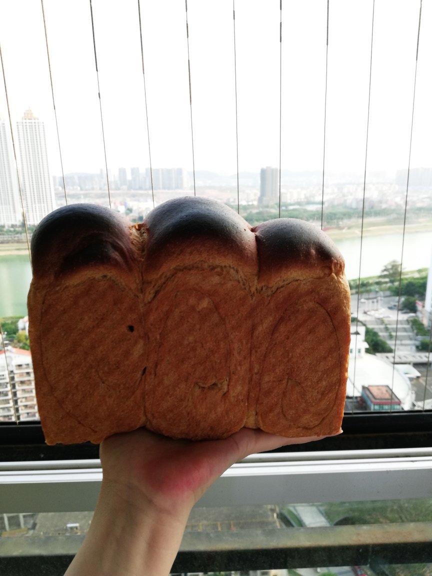 【UKOEO猛犸象热风炉】健康有营养 全麦葡萄干吐司