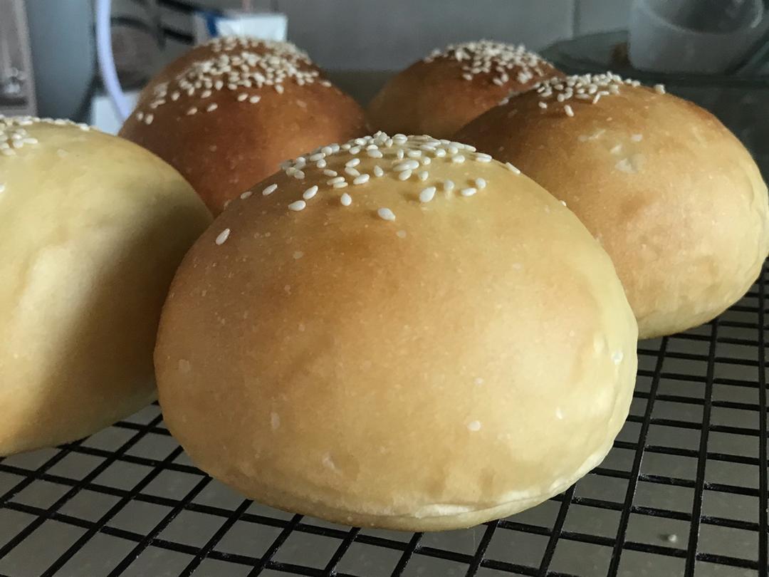 汉堡胚 poolish（波兰种）