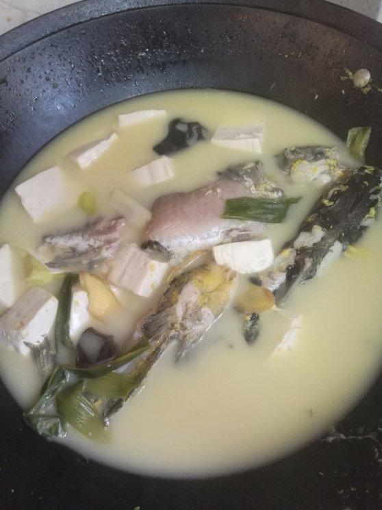 奶白鲫鱼汤（视频，只用10分钟）