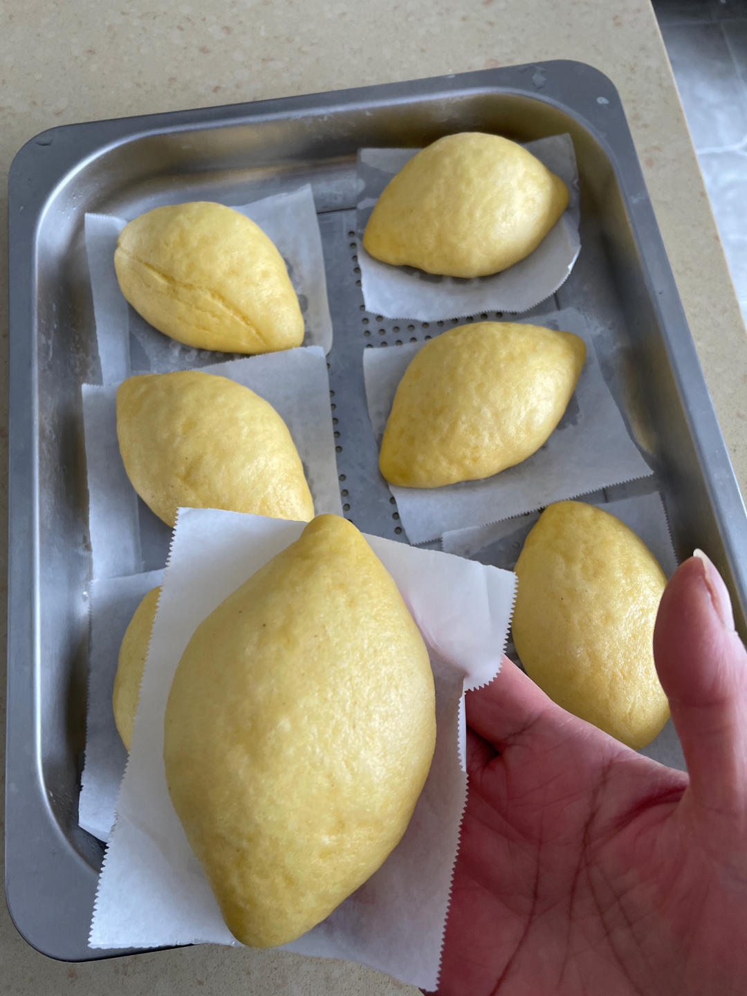玉米面锅贴（一次发酵）