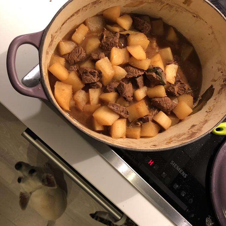 萝卜牛腩煲
