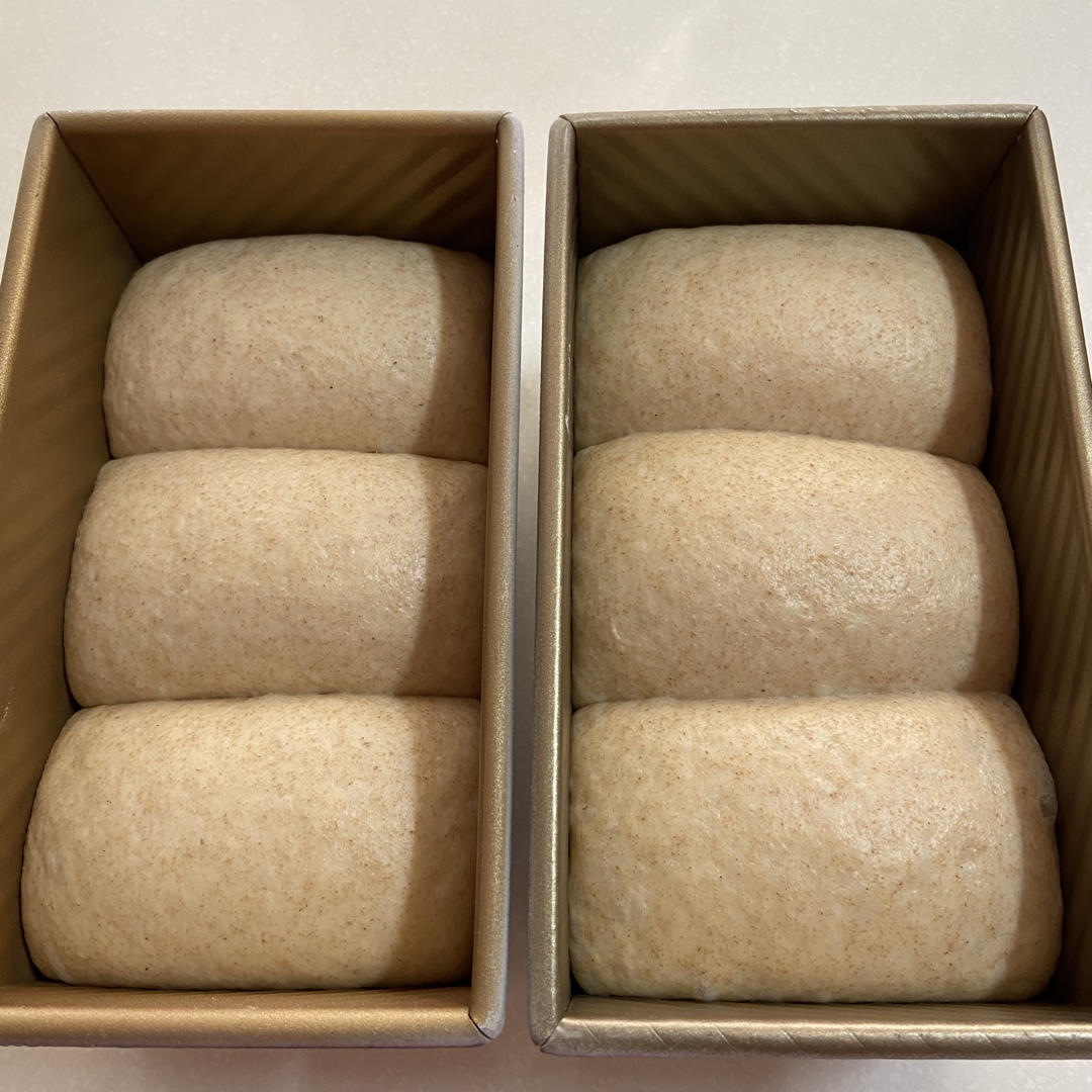 波兰种全麦吐司