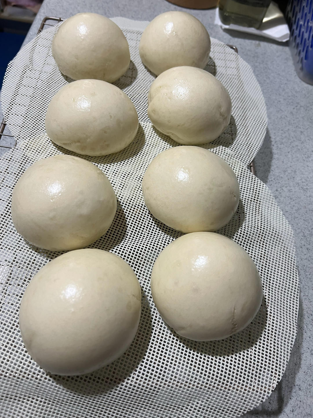 【小高姐】北方大馒头 小麦醇香 只用三种原料