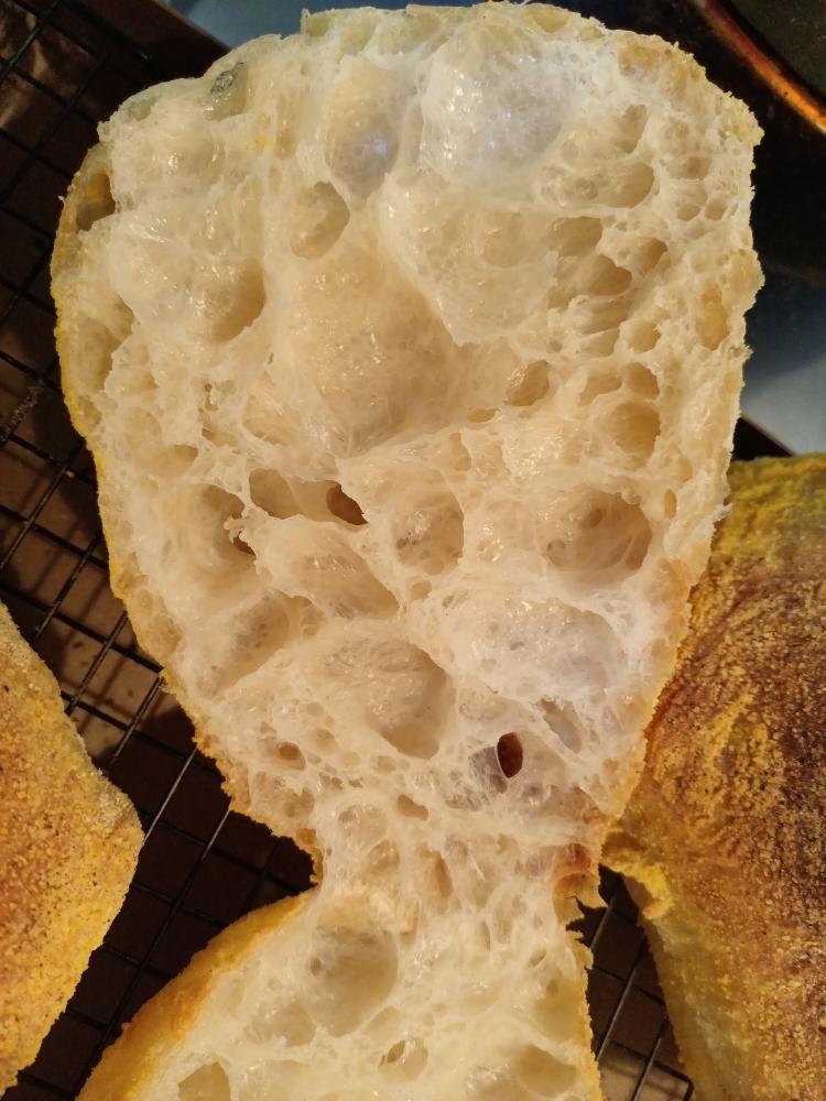 鲁邦种首次喂养成功记录