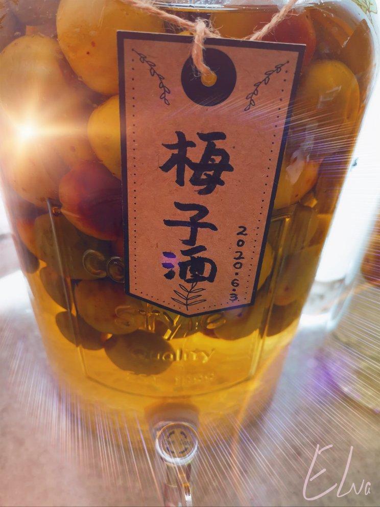 【青梅酒】梅子的沉醉时光（已填坑）