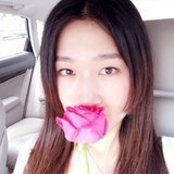 樱桃_Cherry