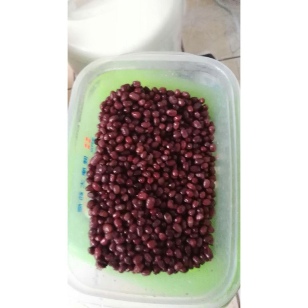 蜜红豆