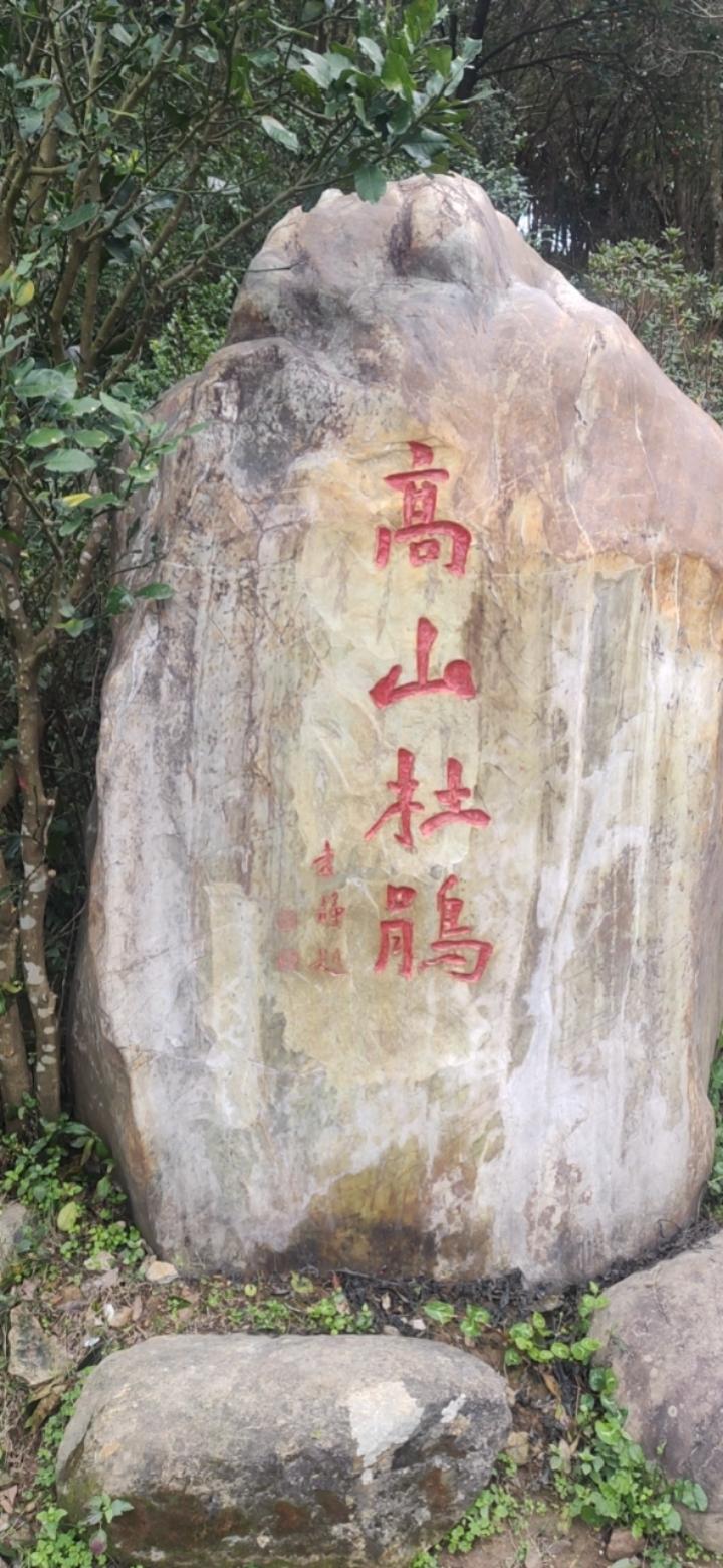 羅仔