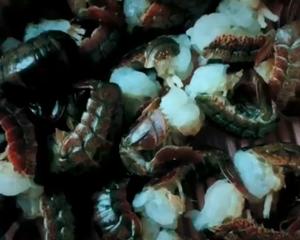 小龙虾的一百种吃法🐲(恒顺香醋版)的做法 步骤1