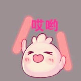 领鱼晒太阳的猫