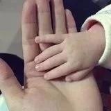 柒粒豆