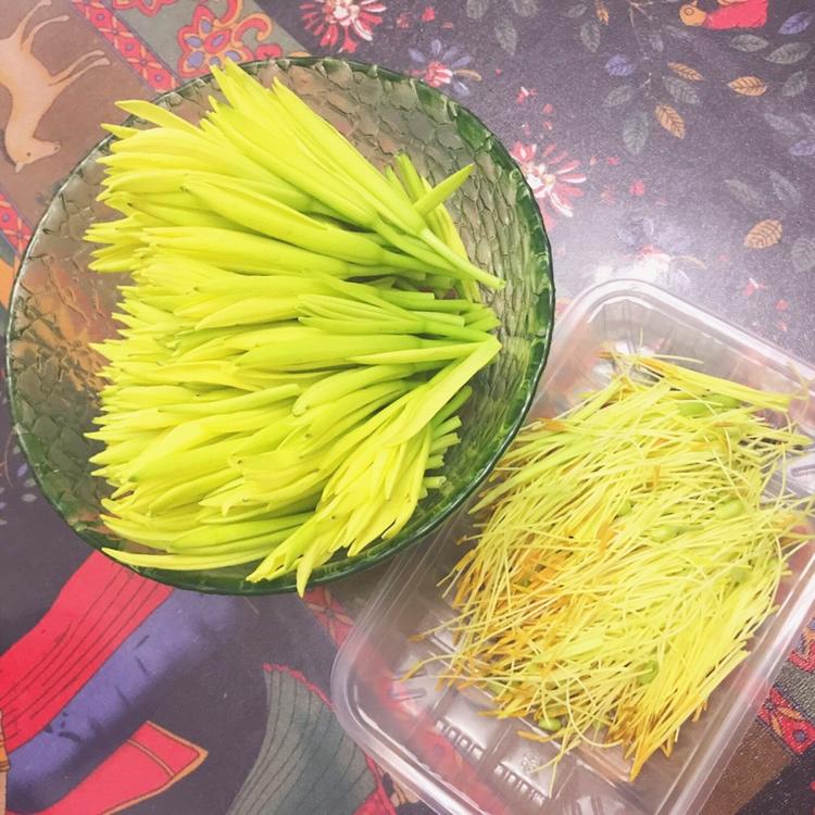 鲜黄花菜炒鸡蛋（秋水仙碱必须处理干净）