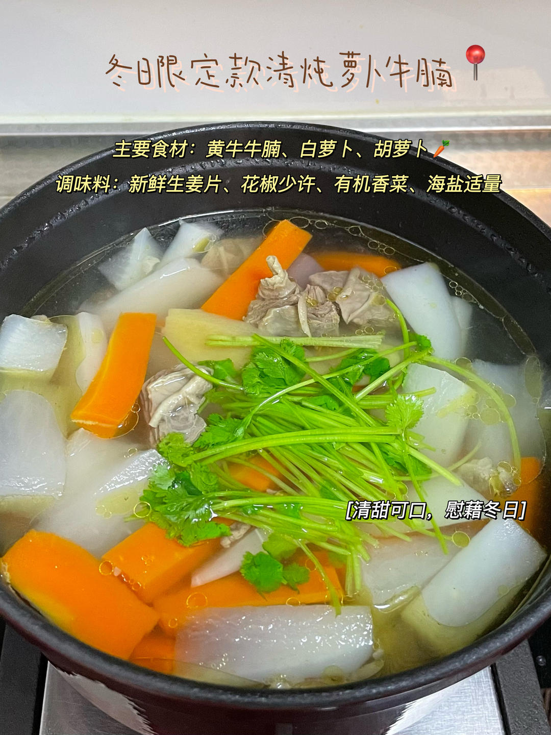 冬日限定——清炖萝卜牛腩（照例附蘸料）