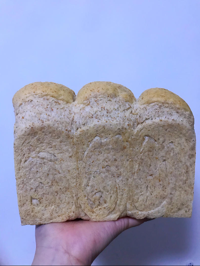 100%纯全麦吐司 汤种全麦