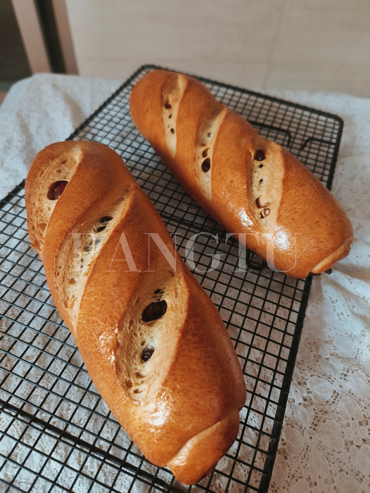 黑啤酒种果仁大列巴🥖，视频教学版