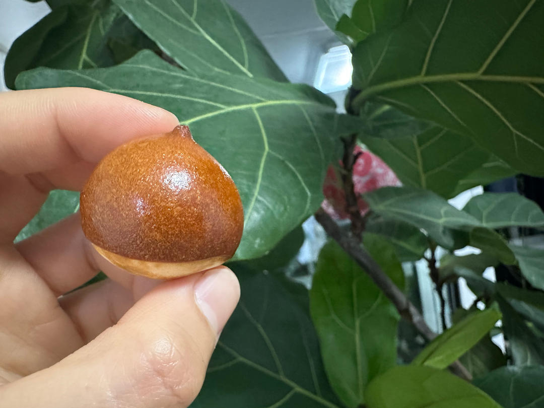举个栗子｜超可爱的mini 栗子碱水面包
