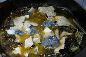 木姜子煮鱼片的做法 步骤9