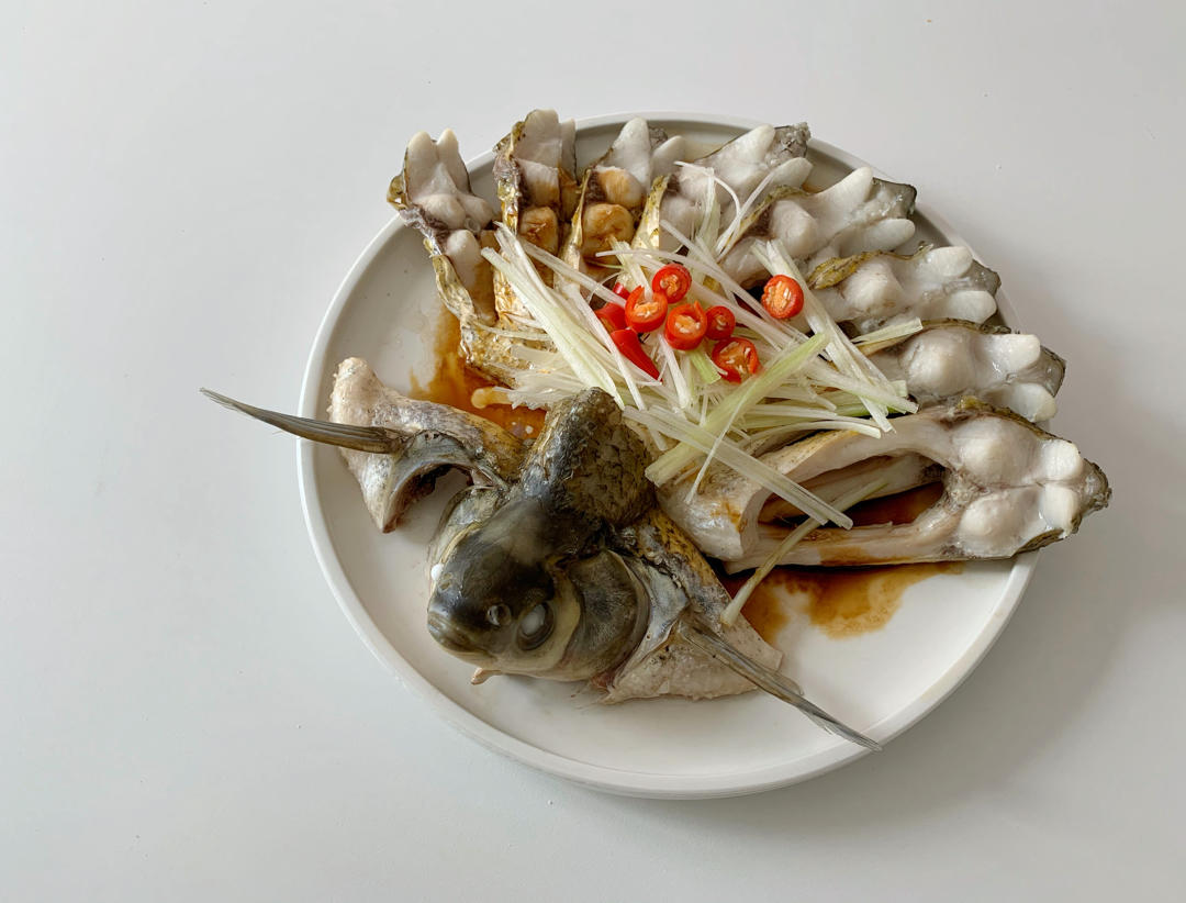 孔雀开屏鱼