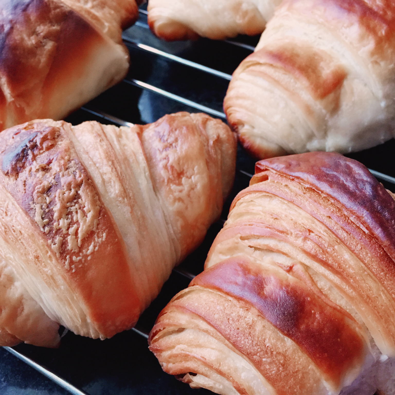 可颂 Buttered Croissant