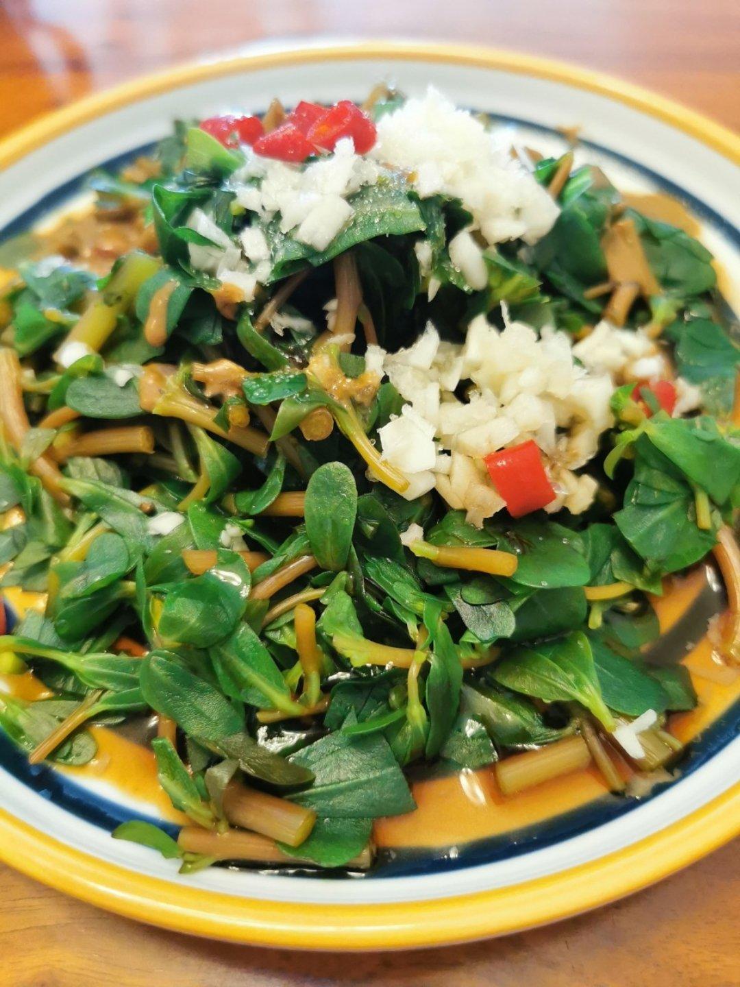 混混儿2011做的凉拌马马菜凉拌马齿苋