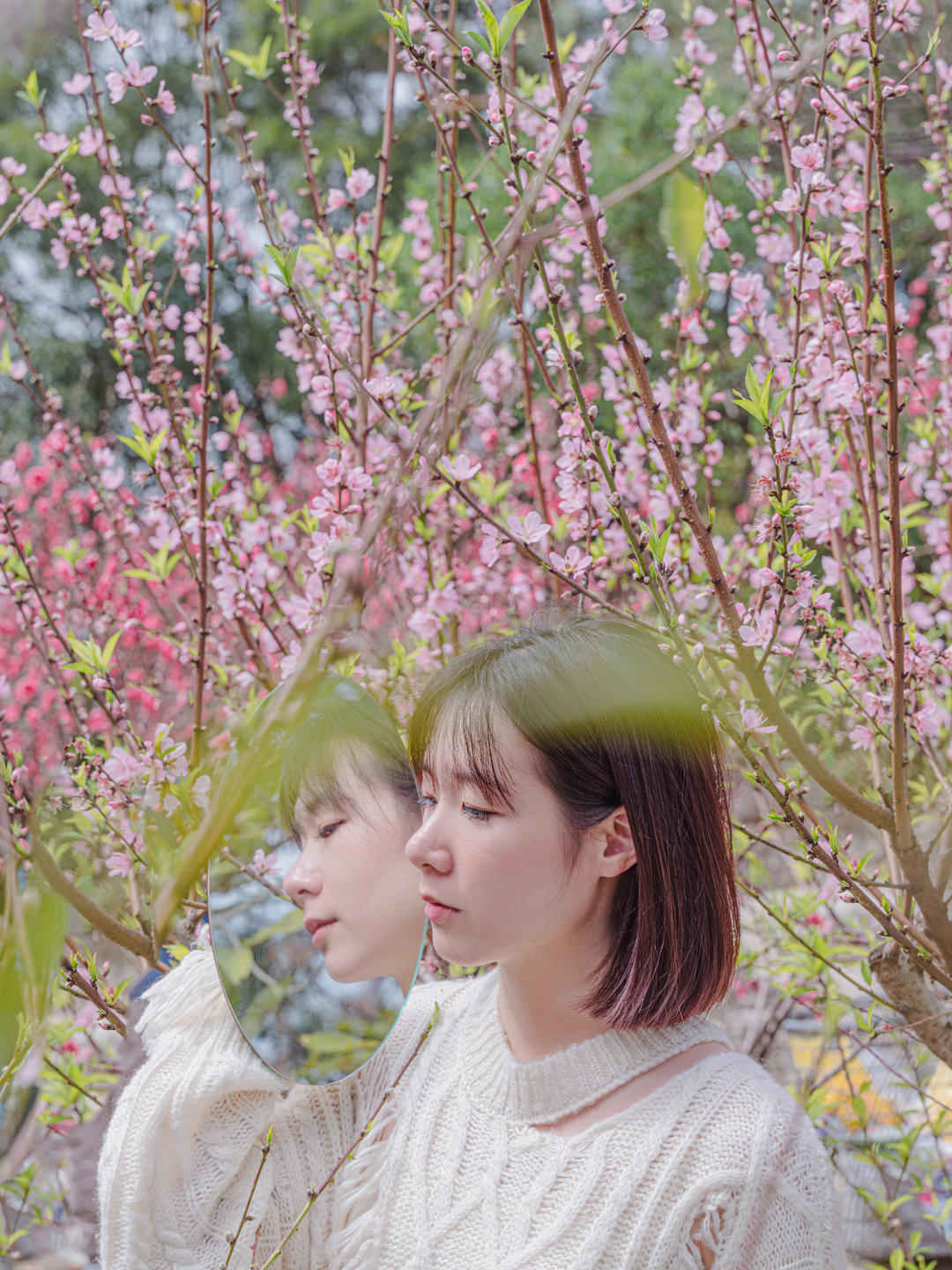麦兜舞