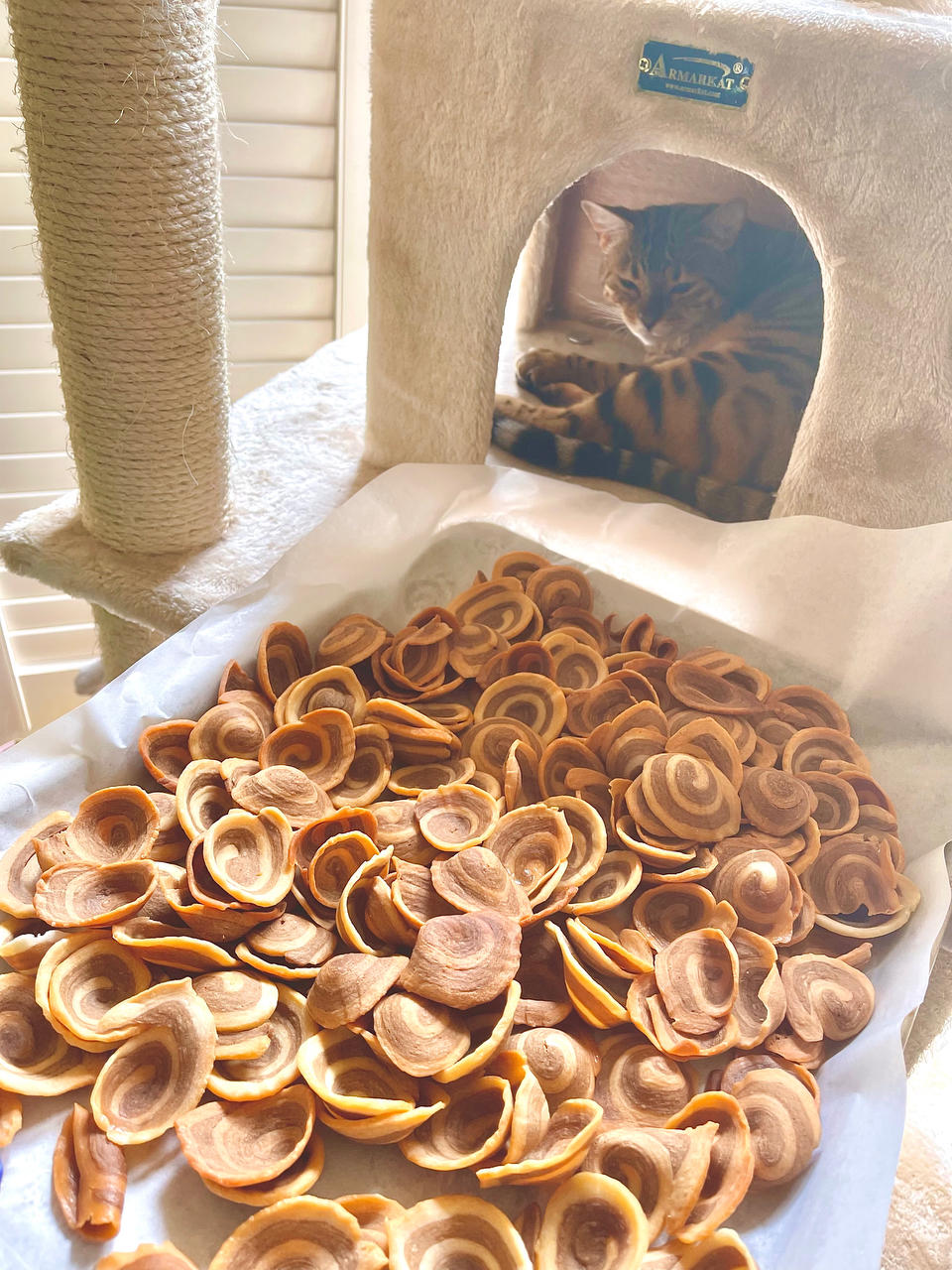 童年回忆❗️嘎嘣脆的小零食猫耳朵❗️一次成功
