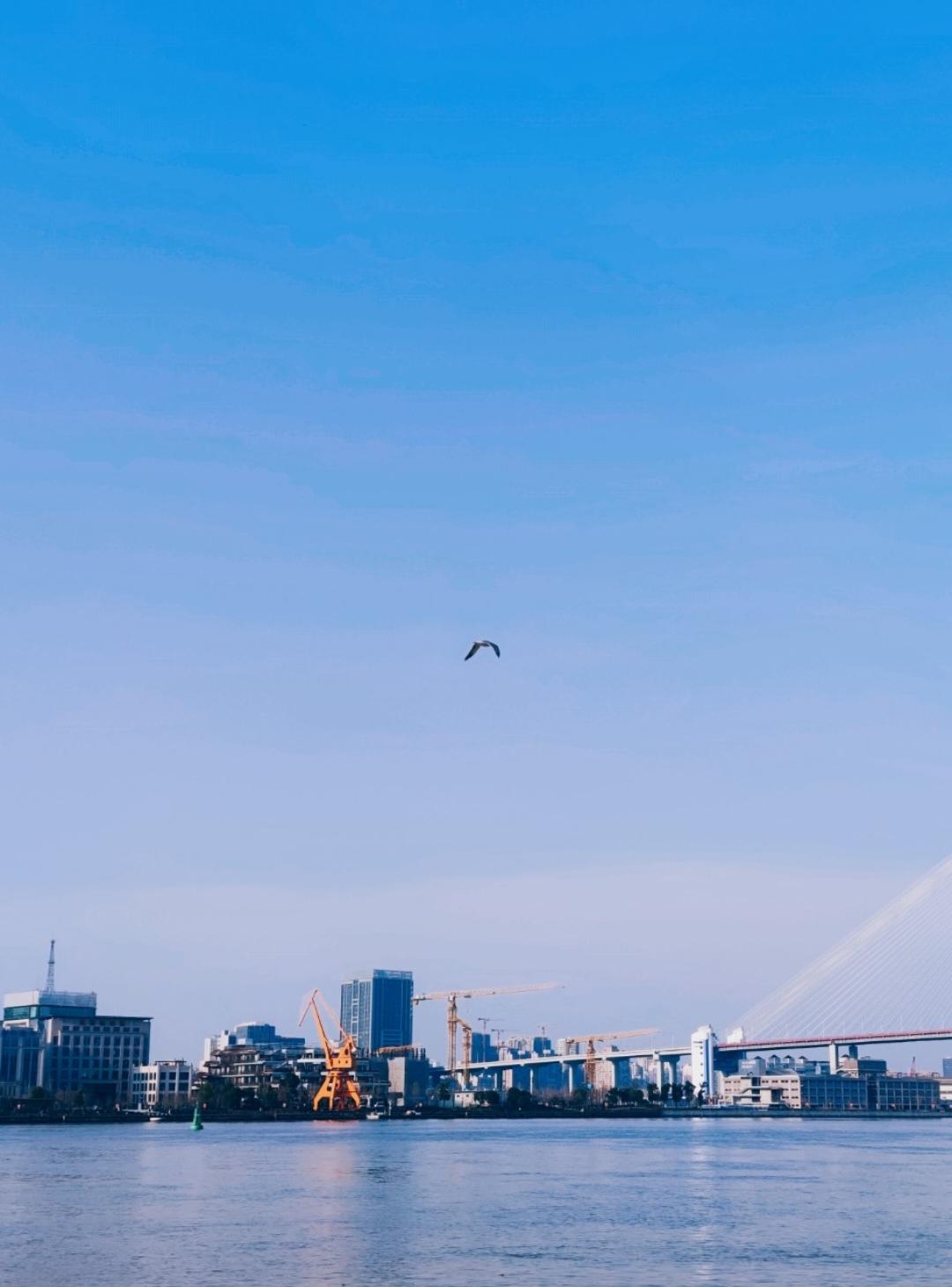 下厨房用户_Sammo