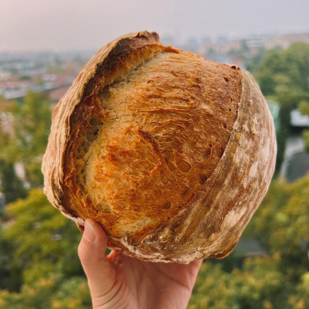 3.5小时快速直接法欧包丨免揉免机打免酵种