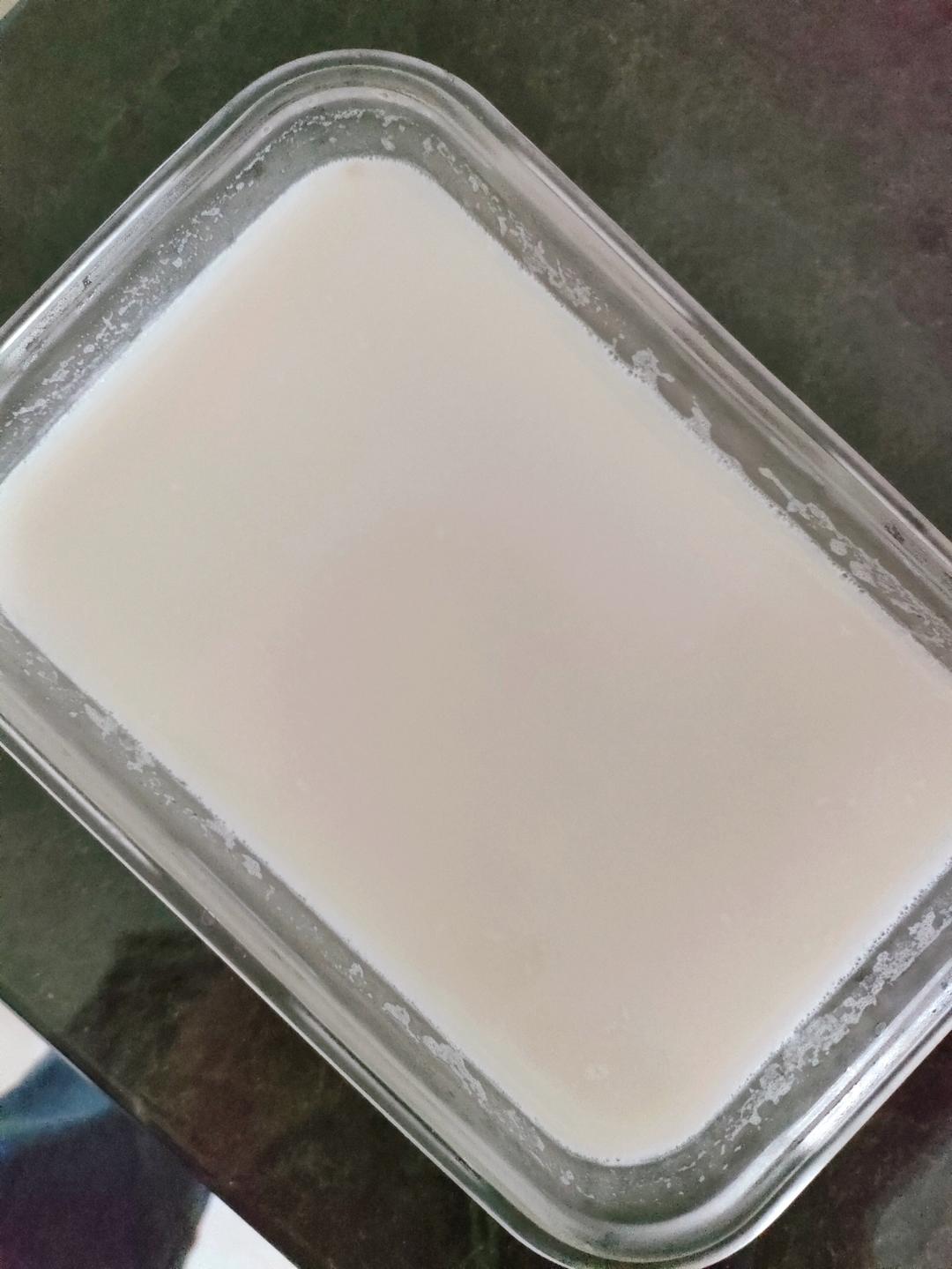 奶香椰奶冻🥥｜超简单