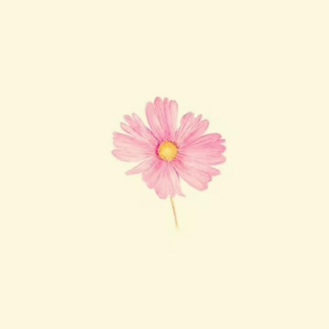 如飨宴