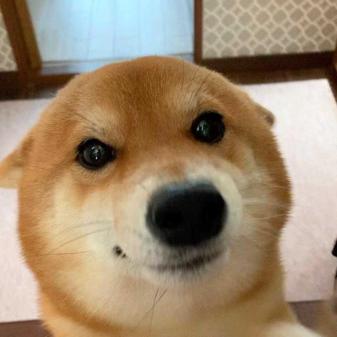 电脑用户0911