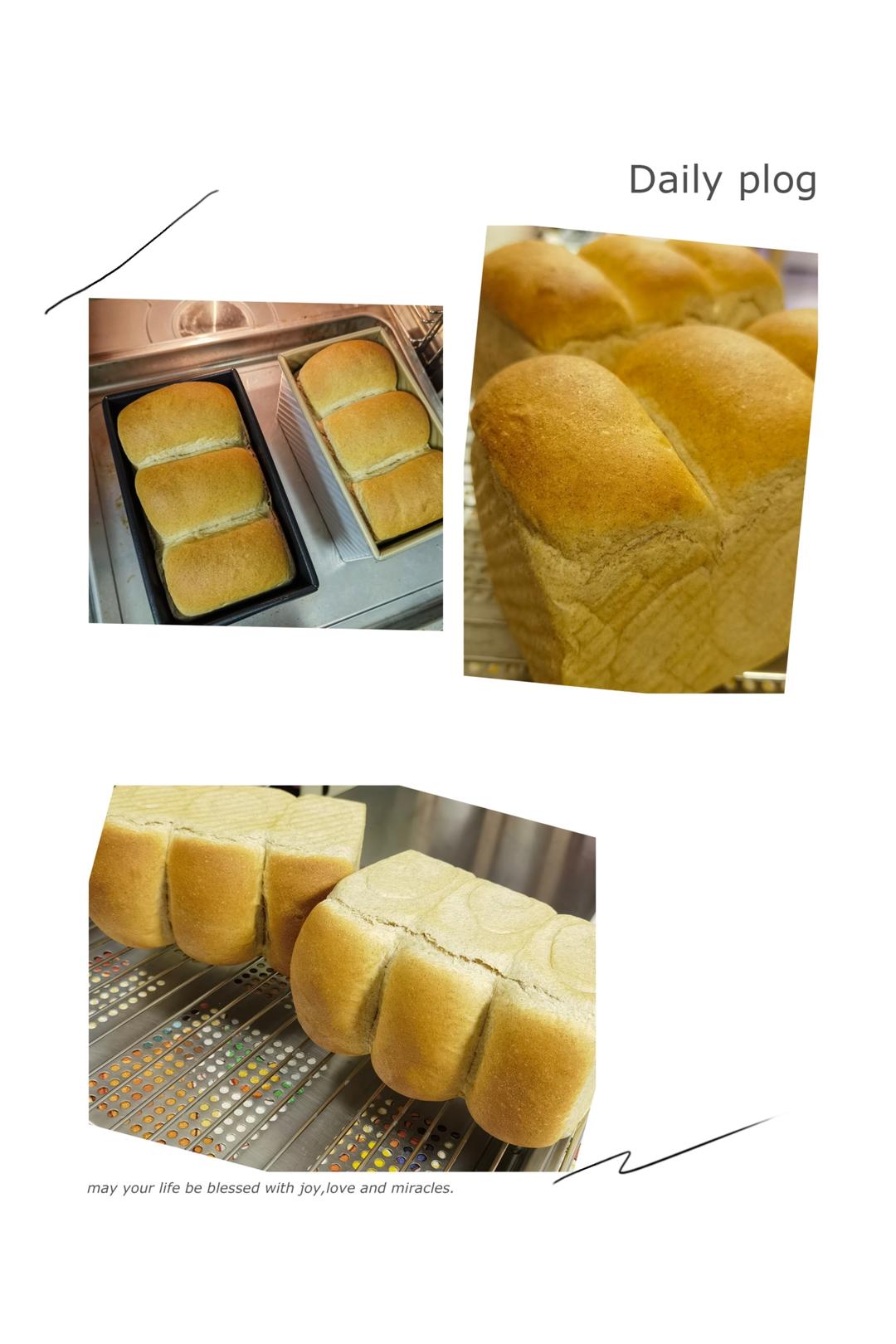 第三天依然柔软的粗全麦吐司